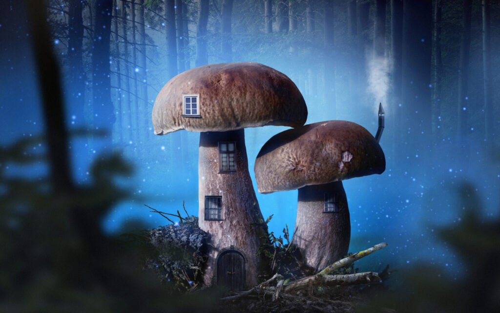 magic mushroom