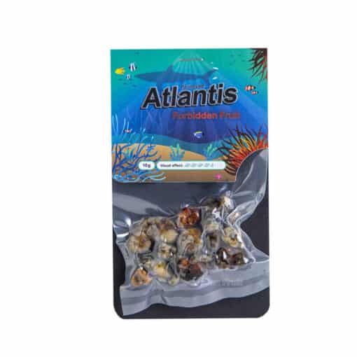 Atlantis Magic truffles