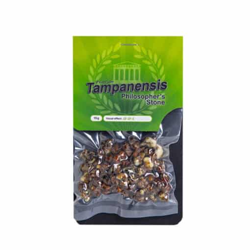 Tampanensis Magic truffles