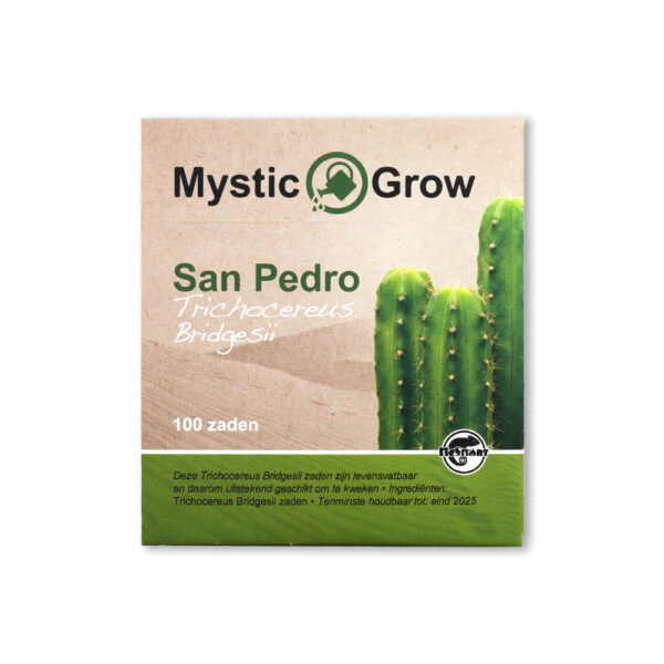 San Pedro seeds (Trichocereus bridgesii) - 100 seeds