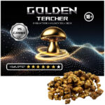 golden teacher truffles