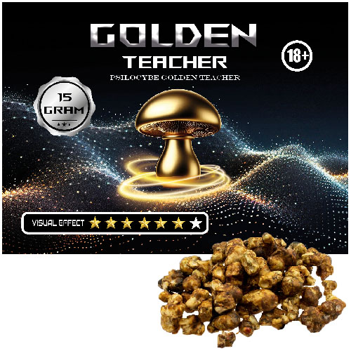 golden teacher truffles
