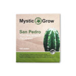 San Pedro seeds (Trichocereus Pachanoi)- 100 seeds