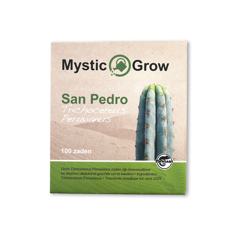 Peruvianus San Pedro seeds (Trichocereus Peruvianus) - 100 seeds - Image 1