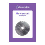 McKennaii Sporeprint