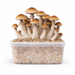 Colombian All in One Growkit