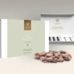 Wise Rootz – Full Focus