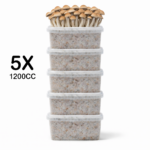 All-in-One Grow Kit 5 Pack