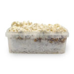 Waikiki Waves Growkit