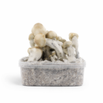 Blue Ghost Hybrid Mushroom Growkit